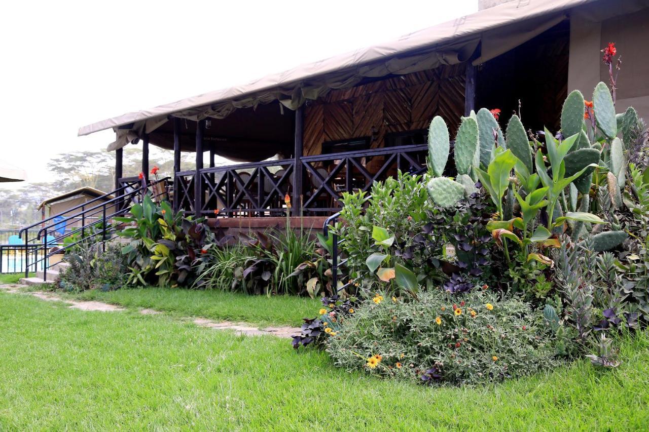 מלון Naivasha West Beach Camp מראה חיצוני תמונה